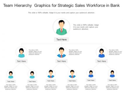 Team hierarchy graphics for strategic sales workforce in bank infographic template