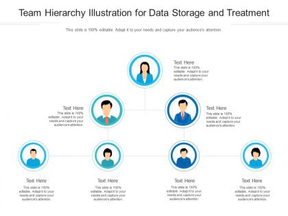 Team hierarchy illustration for data storage and treatment infographic template