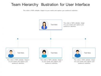 Team hierarchy illustration for user interface infographic template