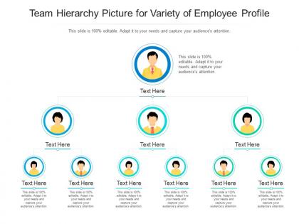Team hierarchy picture for variety of employee profile infographic template