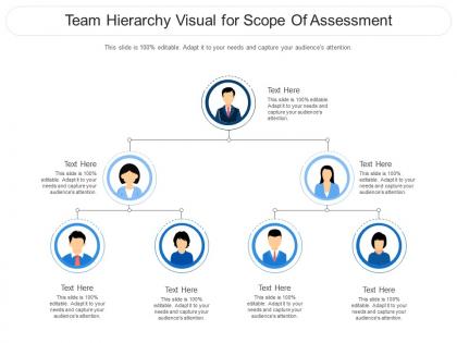 Team hierarchy visual for scope of assessment infographic template