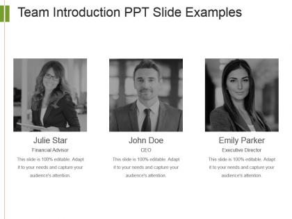 Team introduction ppt slide examples