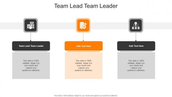 Team Lead Team Leader In Powerpoint And Google Slides Cpb
