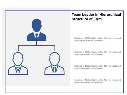 Team leader in hierarchical structure of firm