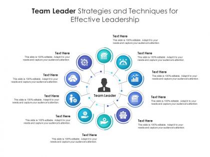 Team leader strategies and techniques for effective leadership infographic template