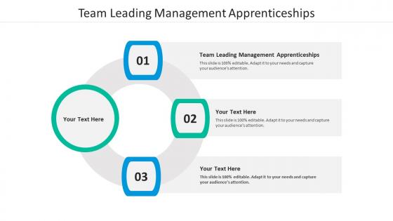 Team leading management apprenticeships ppt powerpoint summary cpb