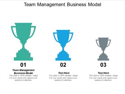 Team management business model ppt powerpoint presentation layouts slide portrait cpb