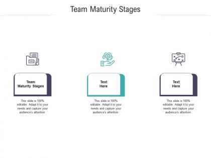 Team maturity stages ppt powerpoint presentation infographic vector cpb