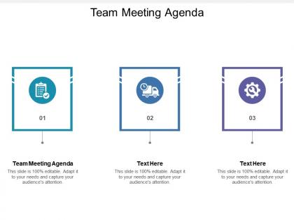 Team meeting agenda ppt powerpoint presentation gallery information cpb