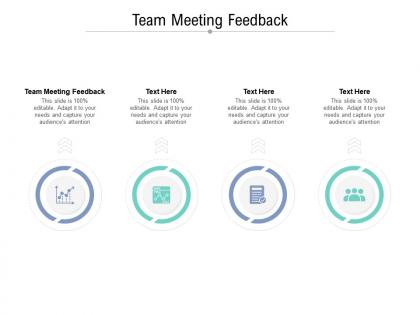 Team meeting feedback ppt powerpoint presentation model portfolio cpb