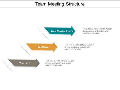 Team meeting structure ppt powerpoint presentation model layout ideas cpb