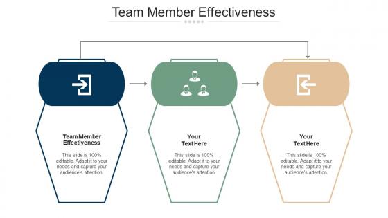 Team member effectiveness ppt powerpoint presentation gallery example topics cpb