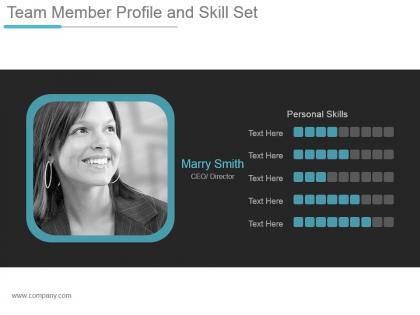 Team member profile and skill set ppt design templates