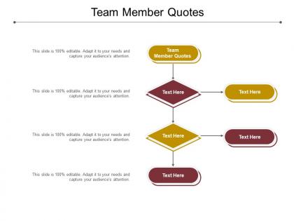 Team member quotes ppt powerpoint presentation slides objects cpb