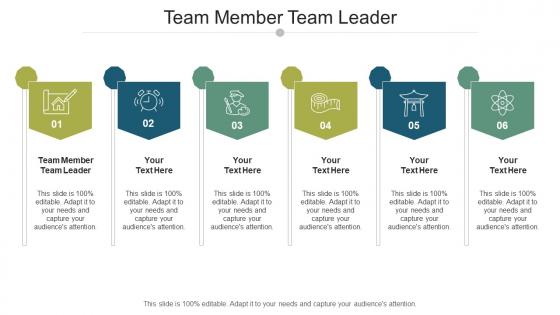 Team member team leader ppt powerpoint presentation portfolio introduction cpb