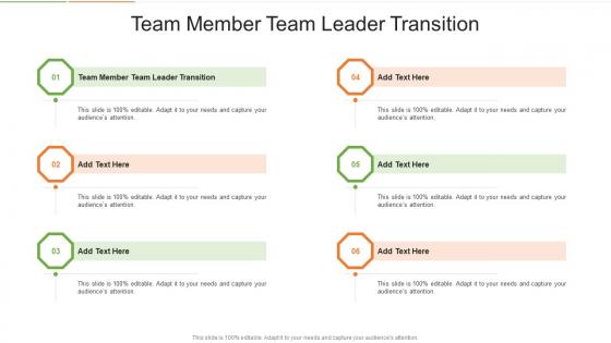 Team Member Team Leader Transition In Powerpoint And Google Slides Cpb