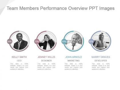 Team members performance overview ppt images
