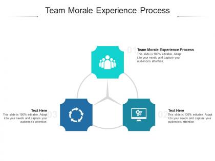 Team morale experience process ppt powerpoint presentation gallery demonstration cpb