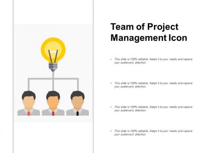 Team of project management icon
