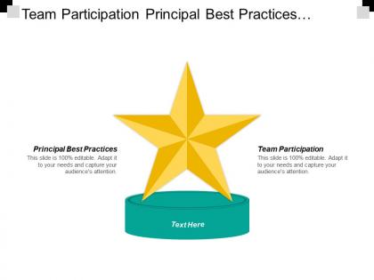 Team participation principal best practices administration stewardship draft approved