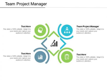 Team project manager ppt powerpoint presentation gallery background cpb