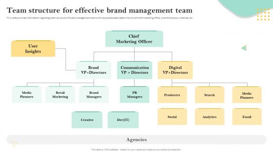 Team Structure For Effective Brand Management Team Personnel Involved In Leveraging