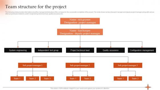 Team Structure For The Project Conducting Project Viability Study To Ensure Profitability
