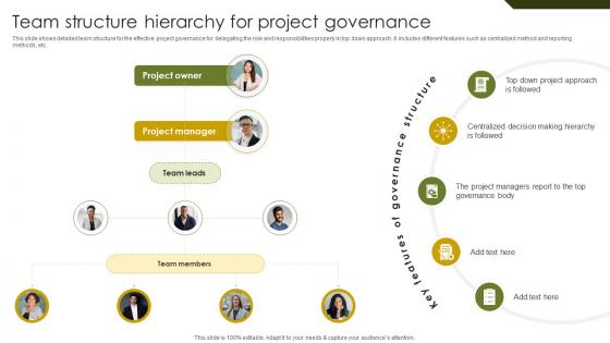 Team Structure Hierarchy For Implementing Project Governance Framework For Quality PM SS