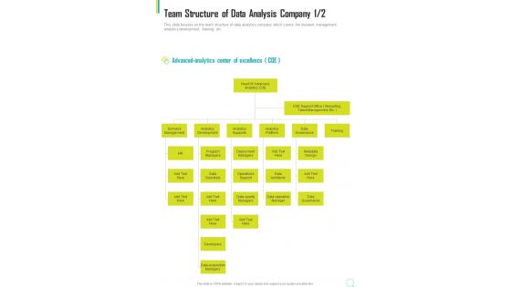 Team Structure Of Data Analysis Company One Pager Sample Example Document