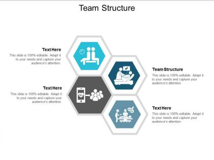 Team structure ppt powerpoint presentation show format cpb
