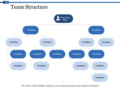 Team structure ppt powerpoint presentation summary icon