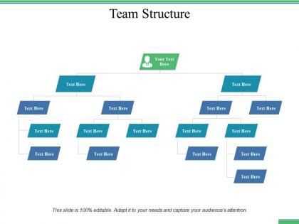 Team structure ppt professional infographic template