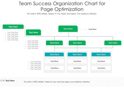 Team success organization chart for page optimization infographic template