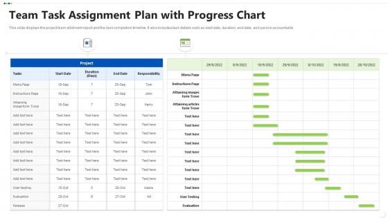 Team task assignment plan with progress chart