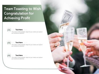 Team toasting to wish congratulation for achieving profit