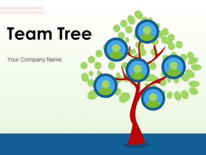 Team Tree Characteristics Organization Individual Growth Business