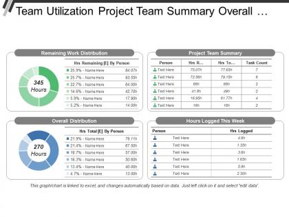 Team utilization project team summary overall distribution