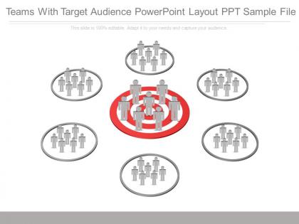 Teams with target audience powerpoint layout ppt sample file