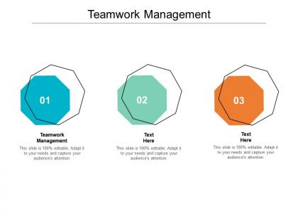 Teamwork management ppt powerpoint presentation professional portfolio cpb