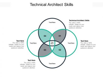 Technical architect skills ppt powerpoint presentation visual aids layouts cpb