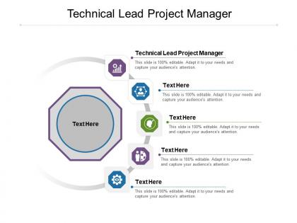 Technical lead project manager ppt powerpoint presentation summary cpb