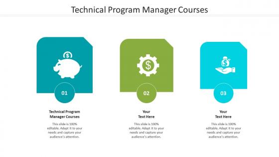 Technical program manager courses ppt powerpoint presentation infographic template guidelines cpb