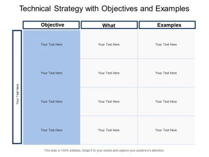 Technical strategy with objectives and examples