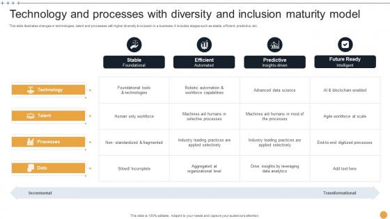 Technology And Processes With Diversity And Inclusion Maturity Model