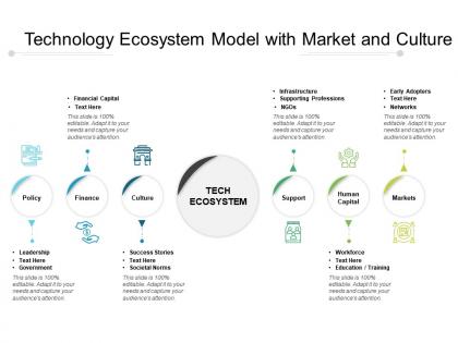 Technology ecosystem model with market and culture