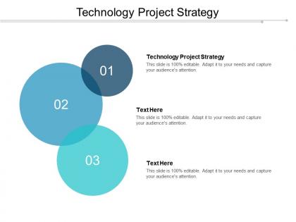 Technology project strategy ppt powerpoint presentation professional clipart cpb