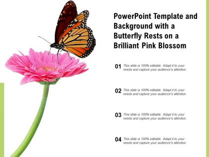 Template and background with a butterfly rests on a brilliant pink blossom ppt