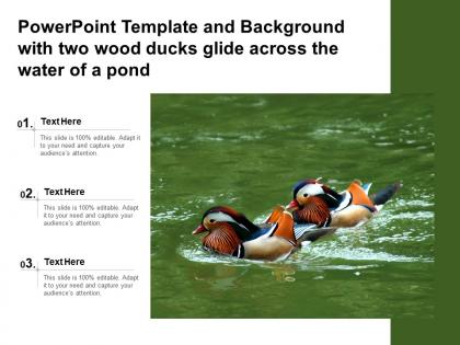 Template and background with two wood ducks glide across the water of a pond