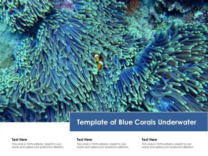 Template of blue corals underwater