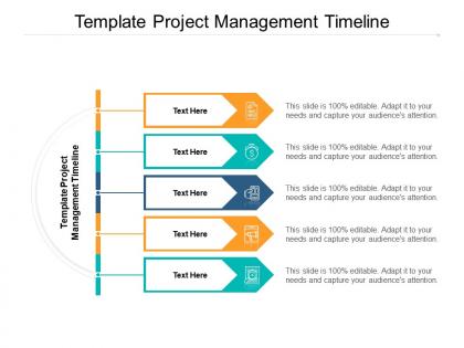 Template project management timeline ppt powerpoint presentation infographics cpb